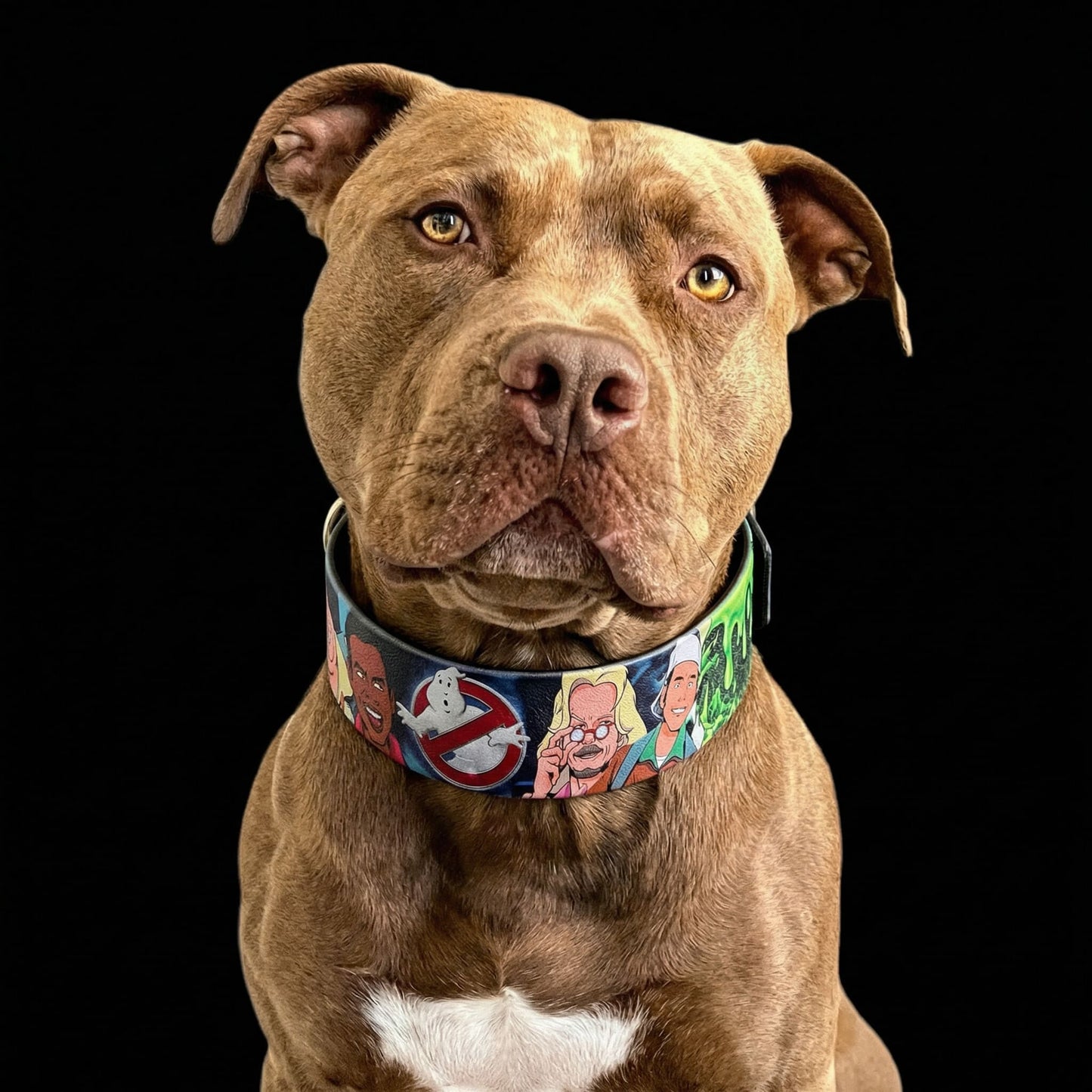 The “Ghosts” collar -LIMITED
