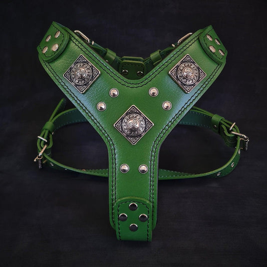 The "Eros" harness GREEN
