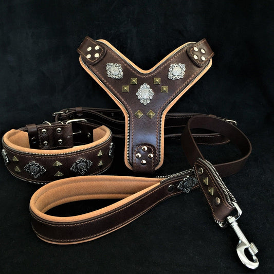 Bestia Aztec Brown Leather Dog Set