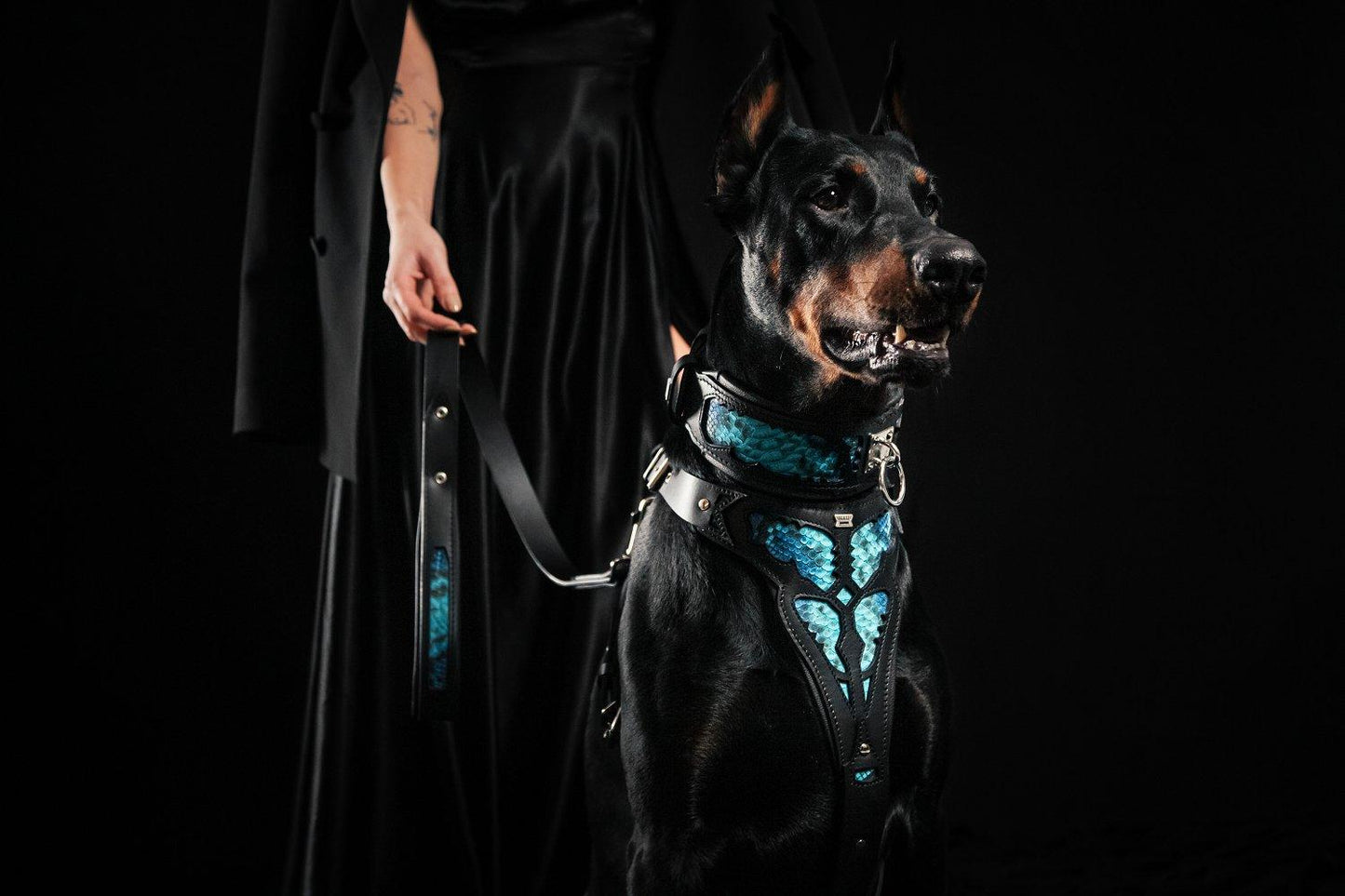 The ''Morelia Python'' harness-3