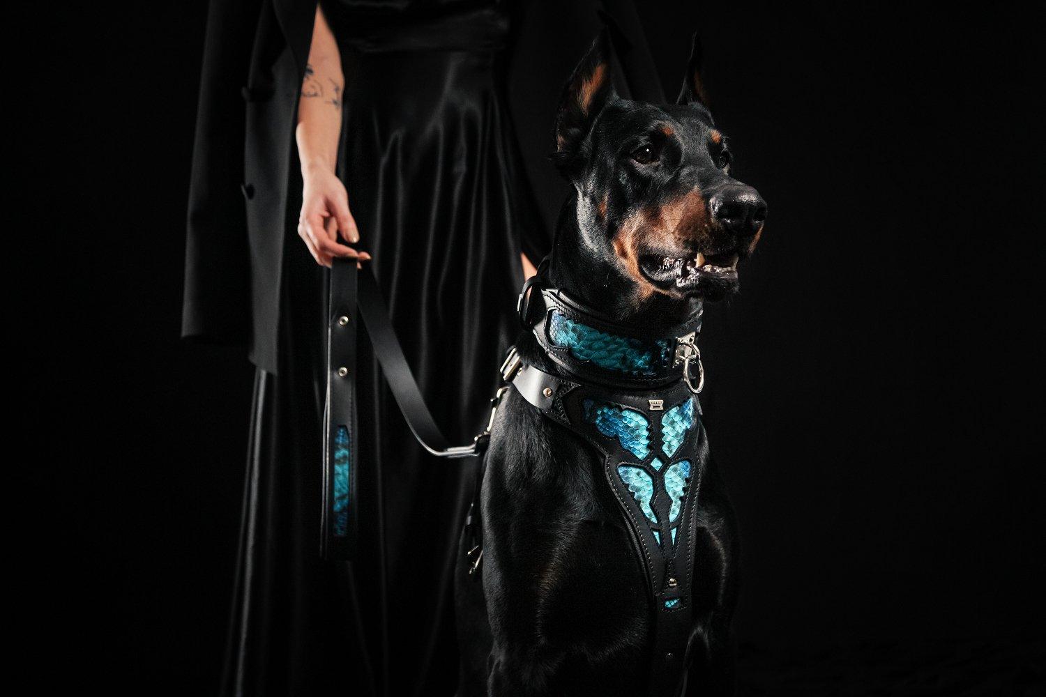 The ''Morelia Python'' harness-3