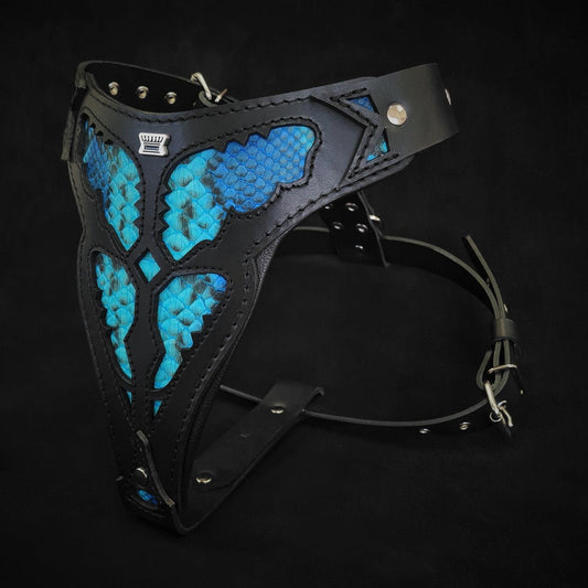 The ''Morelia Python'' harness-1