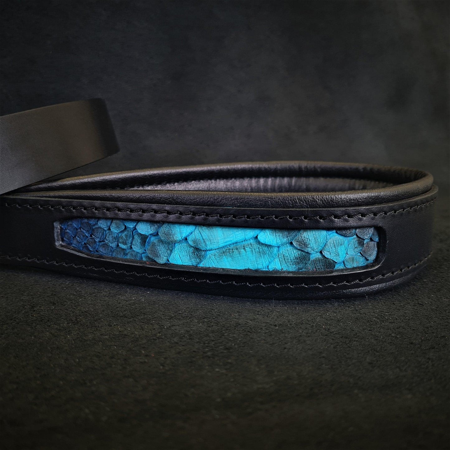 The ''Morelia Python'' leash-3